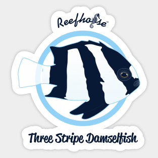 Three Stripe Damsel Sticker